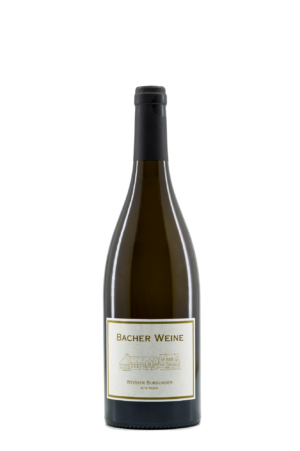 Weisser Burgunder Alte Reben
