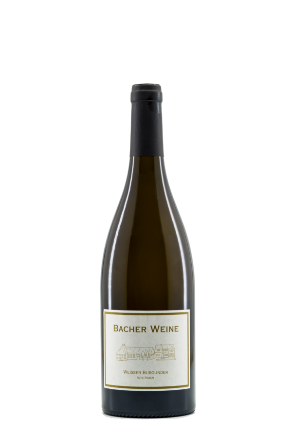 Weisser Burgunder Alte Reben